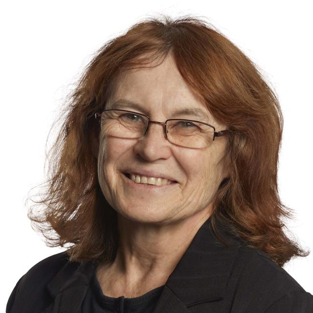 Professor Denny Meyer - Swinburne University, Australia 