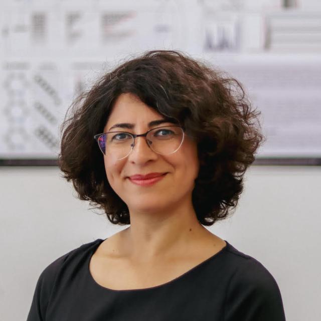 Dr Fatemeh Hadaeghi - University Medical Center Hamburg-Eppendorf (UKE), Germany 