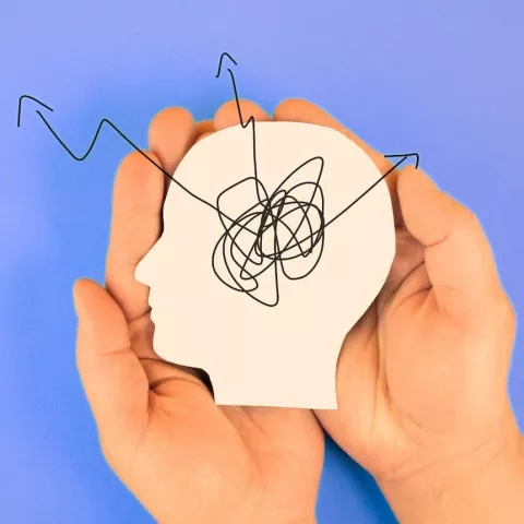 Two hands holding a shape of a head with a drawing of arrows.