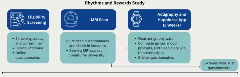 RNR Study Flowchart